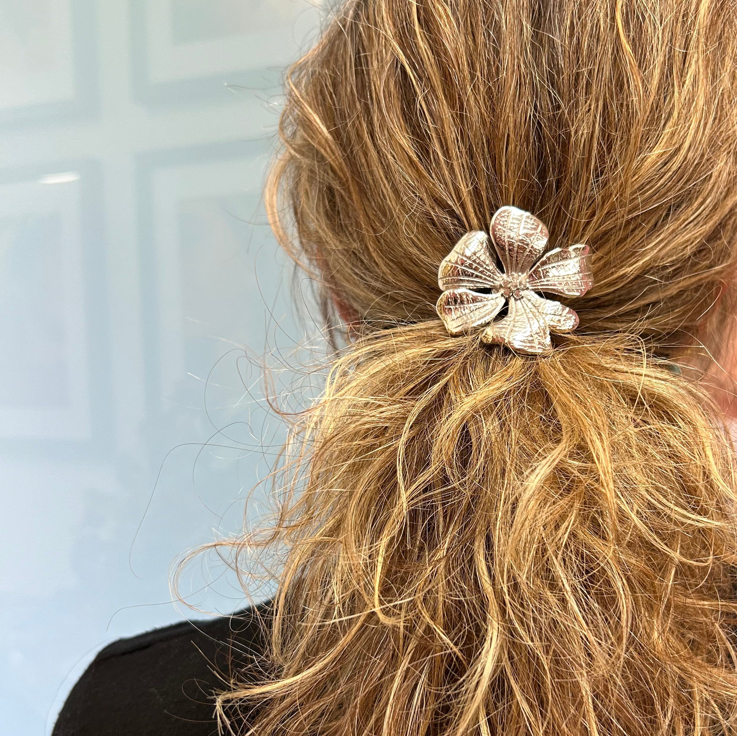 categoria-complementos