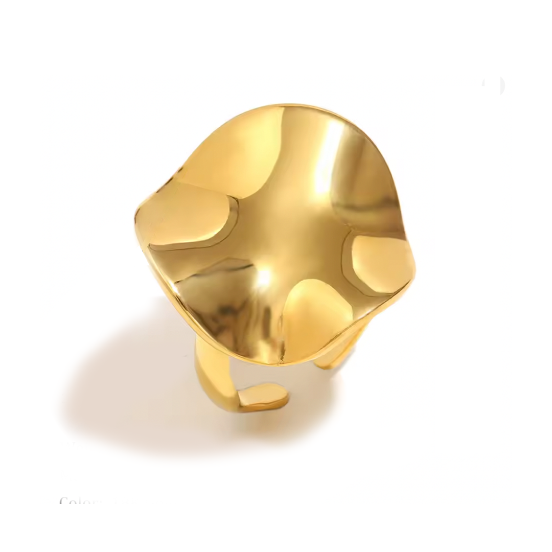 Anillo Arancha - (Acero Quirúrgico Waterproof)