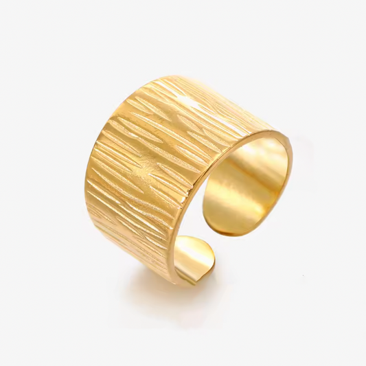 Anillo Canadá - (Acero Quirúrgico Waterproof)